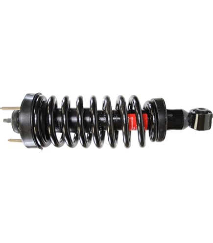 Amazon.com: Monroe Quick-Strut 171346 Suspension Strut and